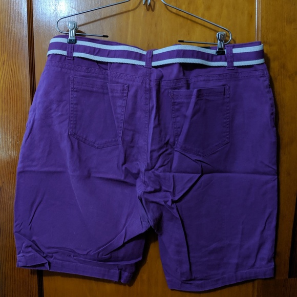 Purple Shorts - Picture 3 of 3